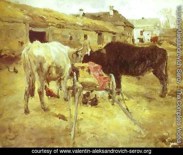 Bullocks Study 1885