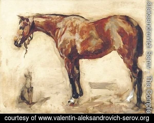 Valentin Aleksandrovich Serov - Study of a horse