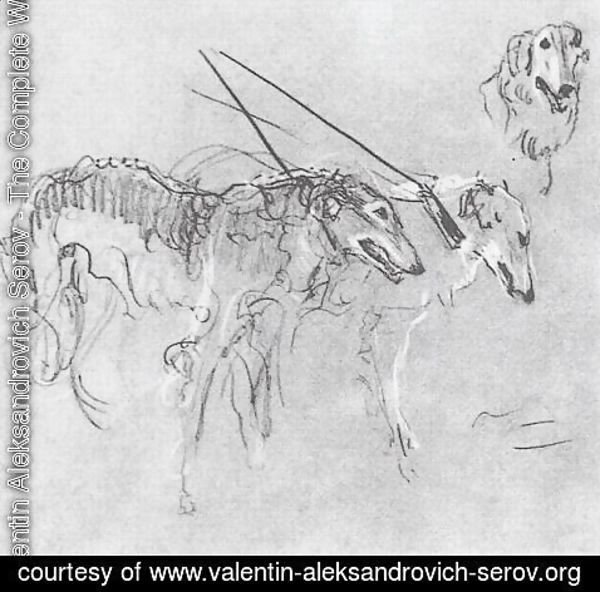 Valentin Aleksandrovich Serov - Greyhounds royal hunting