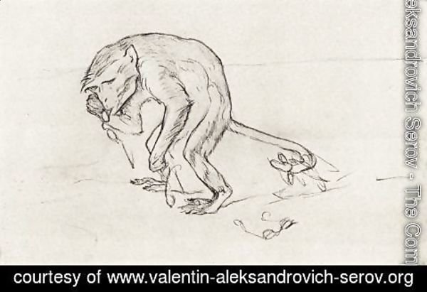 Valentin Aleksandrovich Serov - Monkey and the glasses